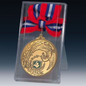 画像1: メダル金 (B型ケース)