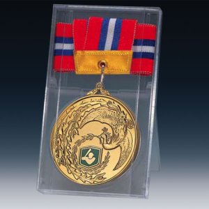 画像1: メダル金 (C型ケース)
